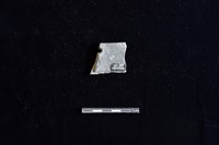 陶片藏品圖，第2張